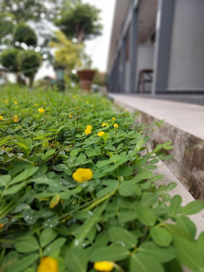 昌伦木屋 樟仑 外观 照片